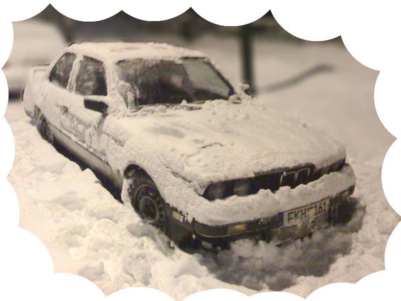 Winter 2008